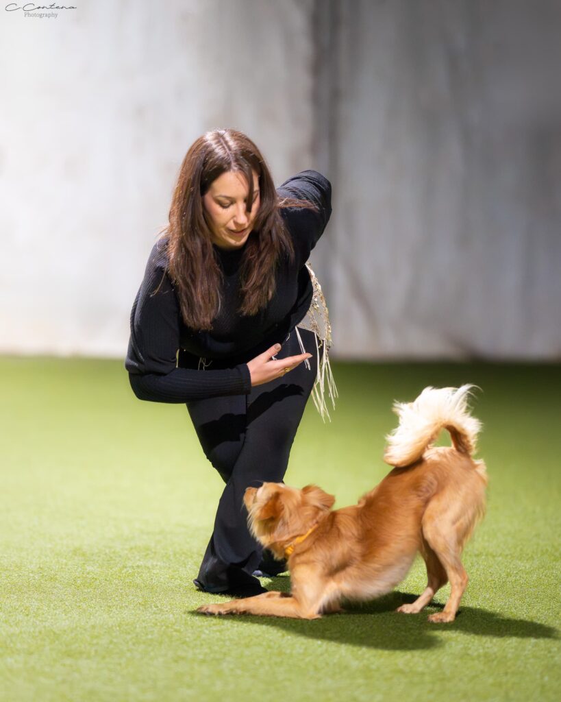 Roberta e Daphne eseguono l’inchino di saluto al pubblico e ai giudici durante una gara di Dog Dance