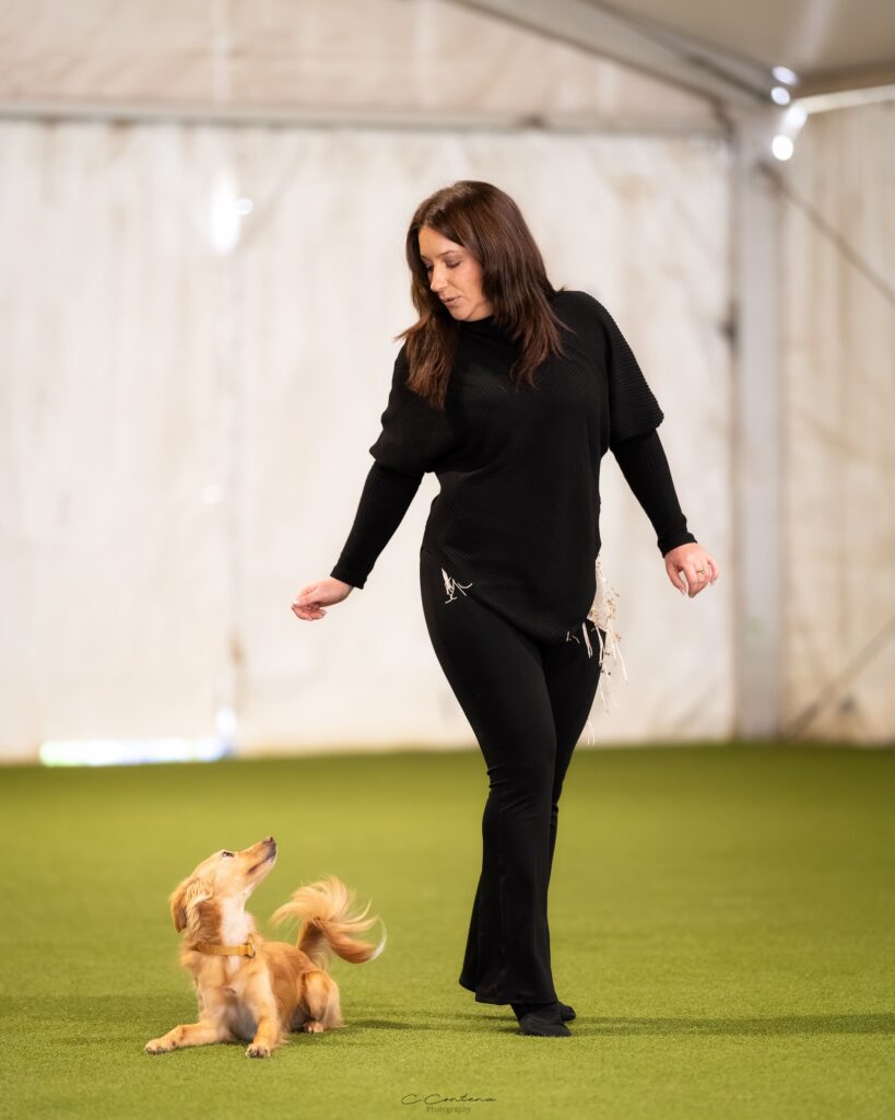 Esercizio di Dog Dance con Daphne a terra mentre Roberta esegue una figura coreografica intorno a lei durante la competizione