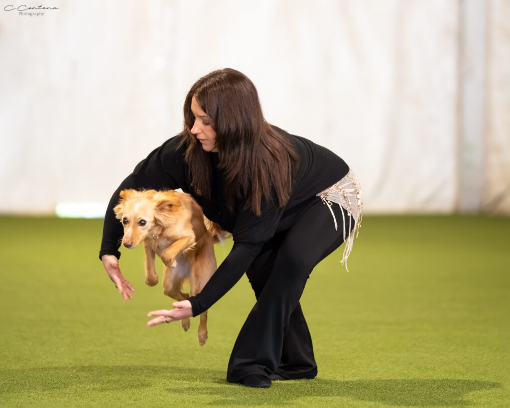 Daphne salta attraverso il cerchio formato dalle braccia di Roberta durante una coreografia di Dog Dance in gara