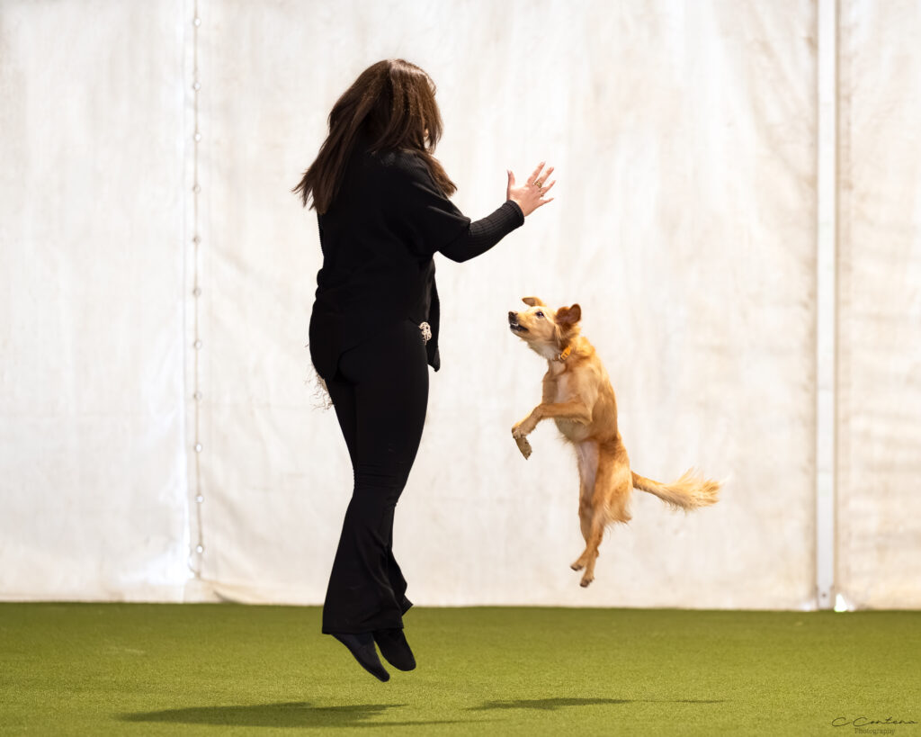Roberta e Daphne saltano insieme durante una pgara di DogDance